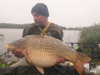 Piękny pełnołuski