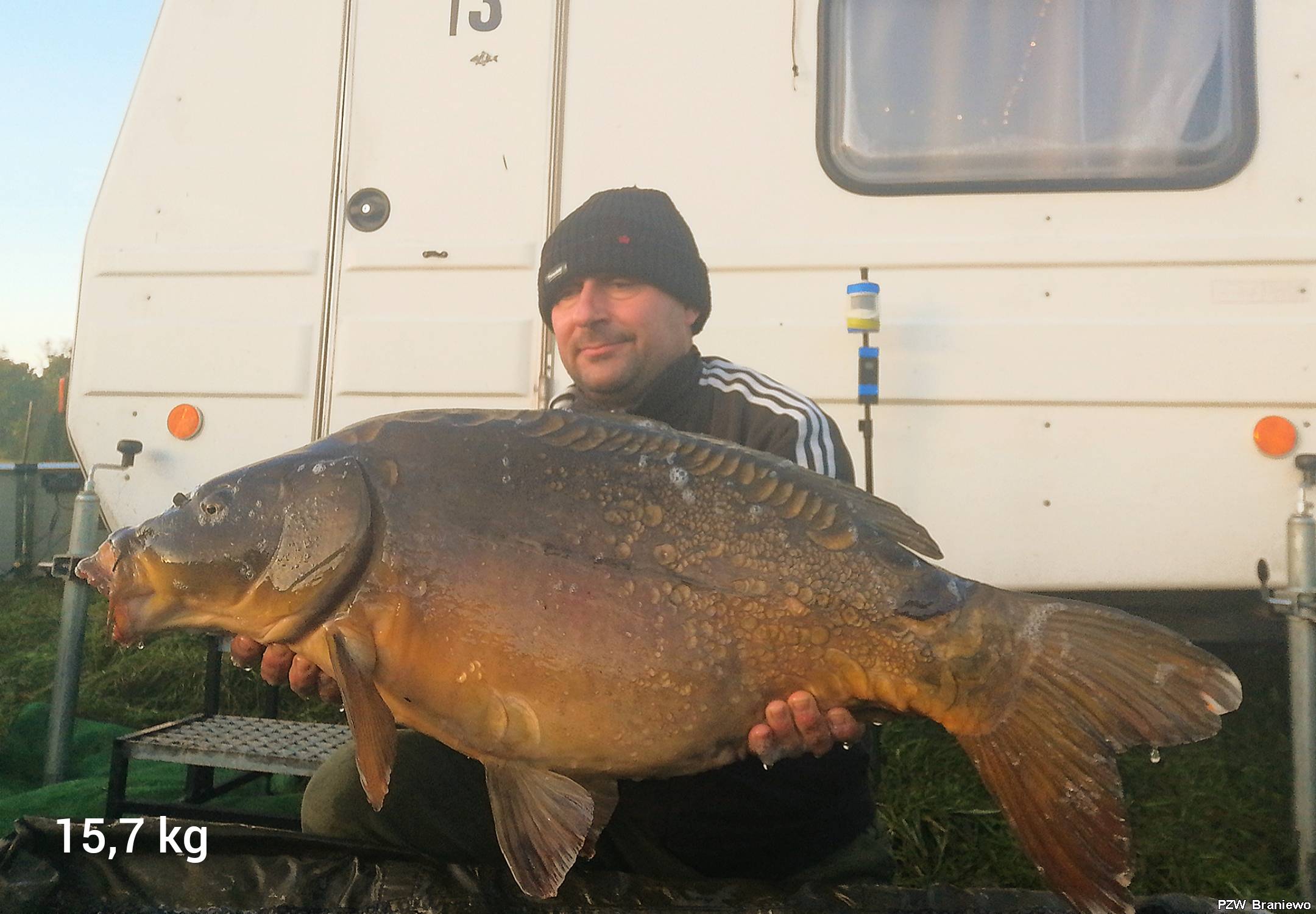 Karp 15,7 kg